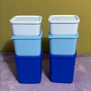 Tupperware Blue and White Makeup Organizers